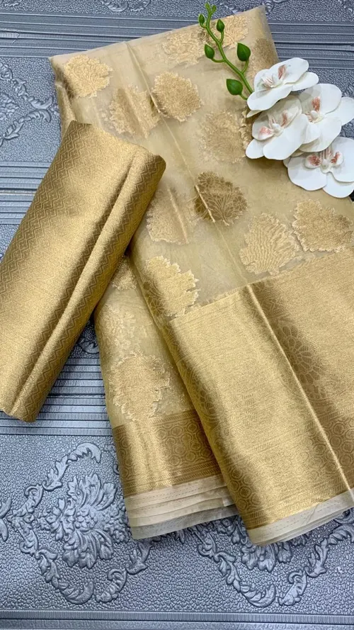 Tissue Silk Saree with Beautiful Jacquard Zari Weaving & Blouse